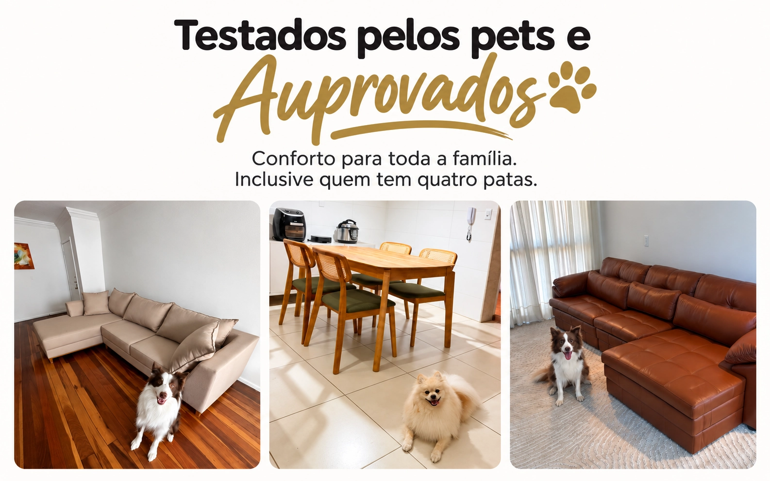 Moveis testados pelos pets e auprovados