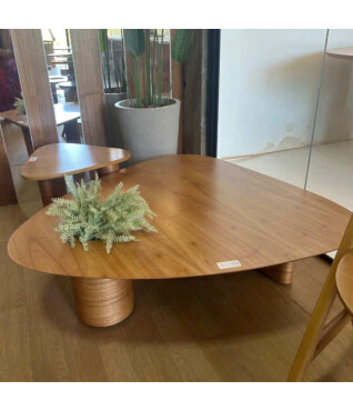 Conjunto Mesa de Centro Orgânica Iris