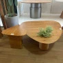 Conjunto Mesa de Centro Orgânica Iris